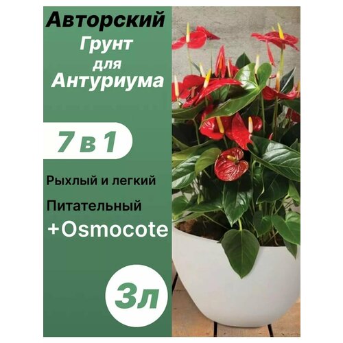 ������ ������ ����� ��� ��������� 3� / ������� ����