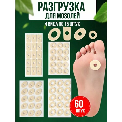 ������ ������ �������� CareProff ����