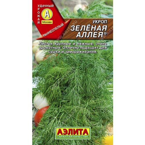 ������ ������ ������ ����� ������� ����� 3� ������ (������) ����