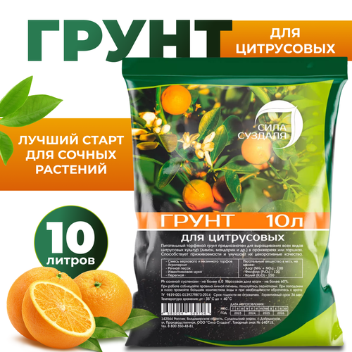 ������ ������ ����� ���� ������� ��� ���������� ��������/ ����� ��� ��������� ������, 10 � ����