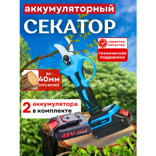 ������ ������ ������� �������������� ������� � 2 �������������� ���, ��������, ����� ����
