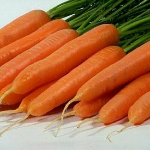 ������ ������ ������������� ������ ������� ������� F1 ����