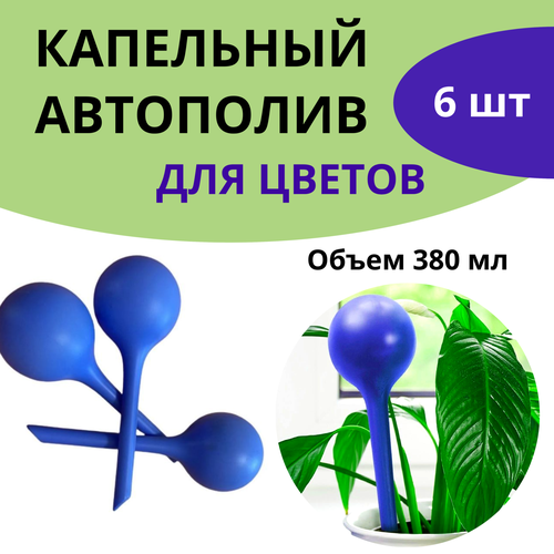 ������ ������ ��������� ��� ������ ����� 6 ���� ����