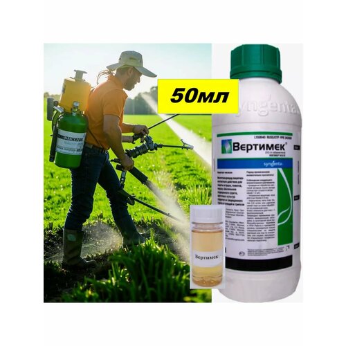 ������ ������ �������� �� 50 �� �� ������ � ������� ����