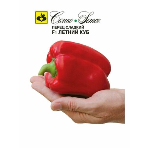 ������ ������ ����� ������ ��� 15�� ����� ����