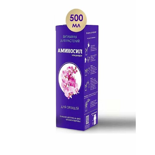 ������ ������ �������� ��� ������� ��������, ���������� 500�� ����