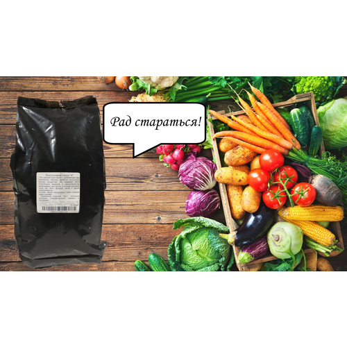 ������ ������ ������� ���������� ����� 