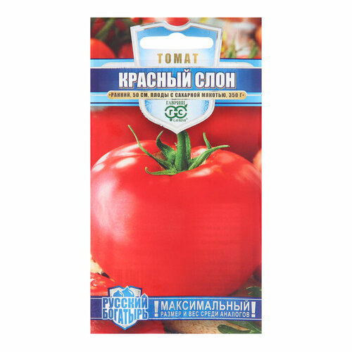 ������ ������ ����� ������� ���� 0,05 � ����� ������� �������� �19 ����