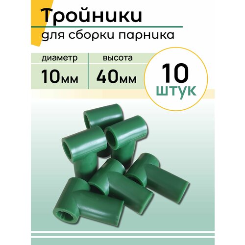 ������ ������ ������� �������������, (10 ����) ����