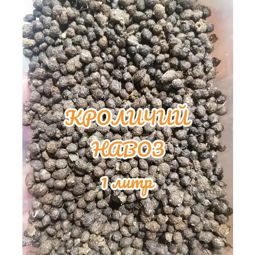 ������ ������ ��������� 