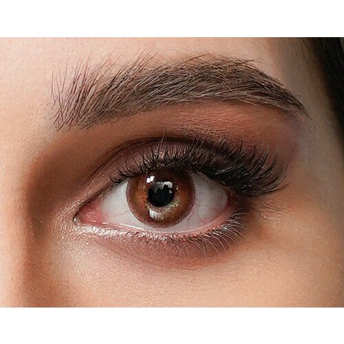 ������ ������ ���������� ����� URBAN LAYER ru Cloud, 2 ��., R 8,6, D -1, Choco , 1 ��. ����