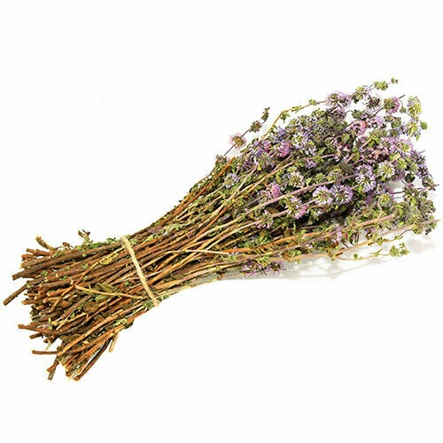 ������ ������ ����� �������� �� ���� ������ ����