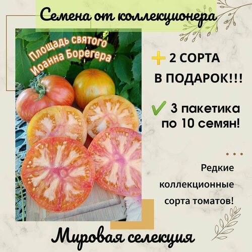 ������ ������ ����� ������� ������� ������ ��������, ������� ��������, ������������� ����, ���������������� ����