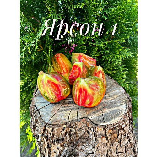 ������ ������ ������������� ������ ������ ����� 1 ����