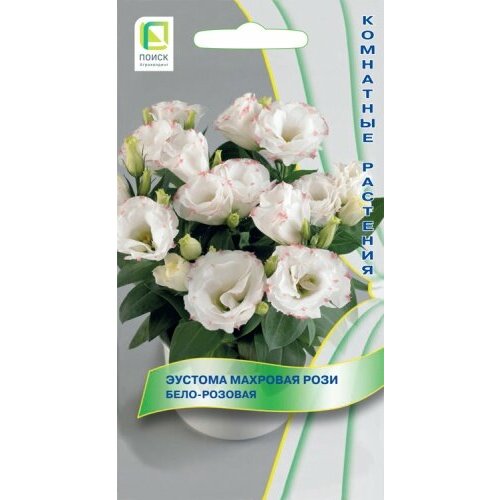 ������ ������ ������ ������� �������� ����� ���� ���� - �������, ��������� ����