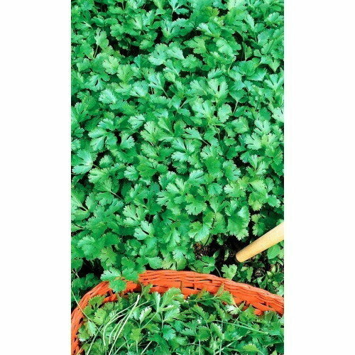 ������ ������ ������ �������� (�����) �������� (��) 2�� �/� ����