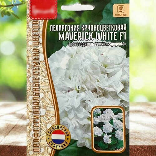 ������ ������ ������ ���������� ����� ����� ����� ����