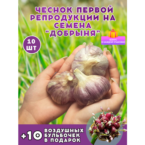 ������ ������ ������ �� ������� 