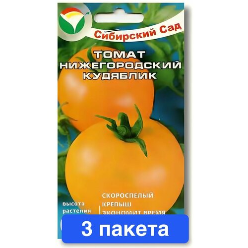 ������ ������ ������ ������ ��������� ��� 