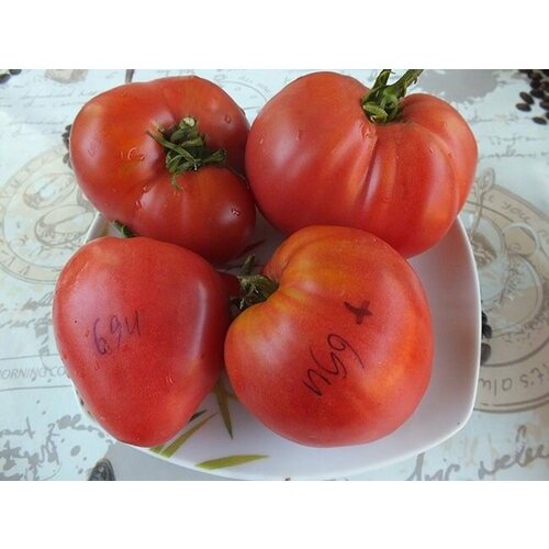 ������ ������ ������������� ������ ������ ��������� ����������� ����