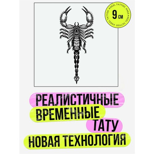 ������ ������ ���� ���������� �������������� �������� �������� ����