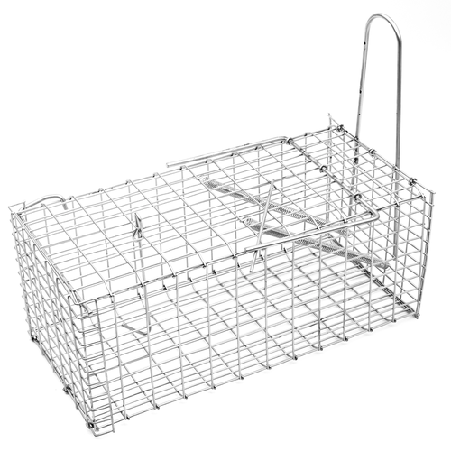 ������ ������ ���������� ��� ���� ��������, ������ �������, ������� ��� �����, ��������, ��������, ������� �������, �����, 1 ����� ����