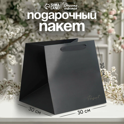 ������ ������ ����� ���������� ������ ������� Present, 30x30x30 �� ������ 1 ��. 30 �� 30 �� 30 �� 160 � ������� ����