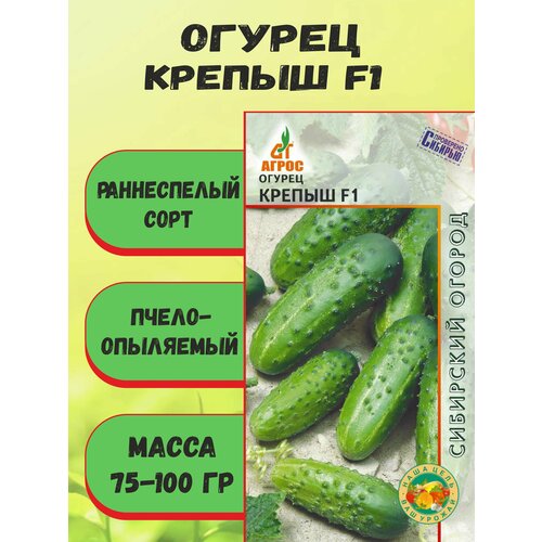 ������ ������ ������ ������ F1 10 �����, ����� ����