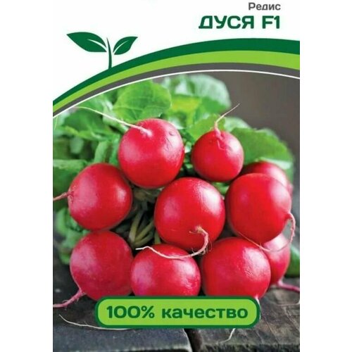 ������ ������ ������������� ������ ������ ���� F1 ����