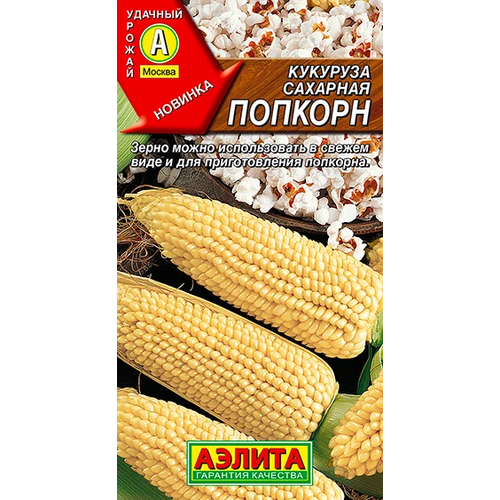 ������ ������ �������� �������� ������� ����