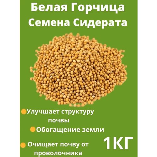 ������ ������ ������� ������ ������� 1 �� ����