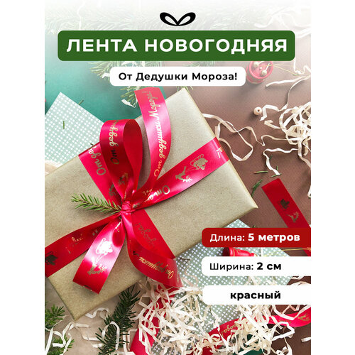 ������ ������ ����� �����������, ���� ��� �������, � �������� 