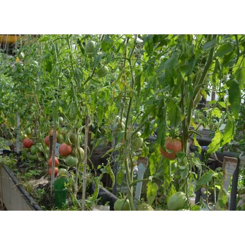 ������ ������ ������������� ������ ������ ������ ����