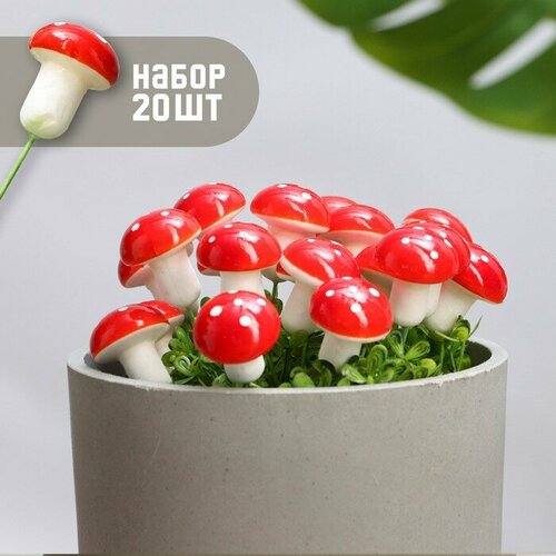 ������ ������ ����� �������� 