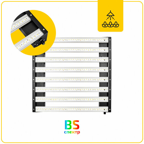 ������ ������ ��������� ��� �������� Flasher 200 BS ����