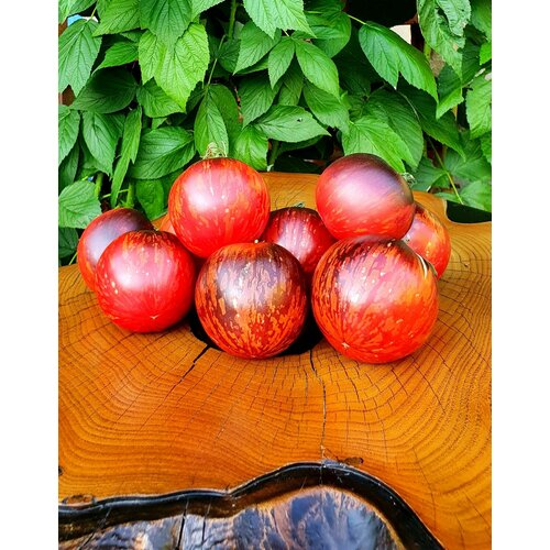 ������ ������ ������ ������ ������� ������ �� ���-���-��-��������� (Pommed'or De Saint Jean De Beauregard) / Seeds And Goods / � �������� zip-lock ��� ���������� 10 ����� ����