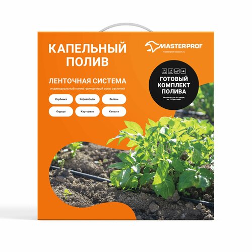 ������ ������ ����� ���������� ������ ���������, 40 � ����