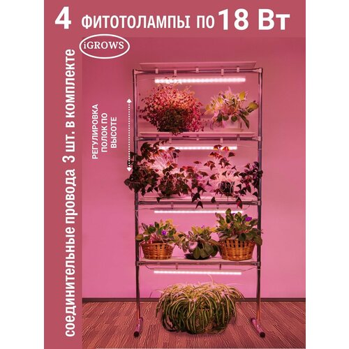 ������ ������ ������� ��� �������� � ������ 4 ����� � ����������������� 18 �� c ��������������� ��������� ����