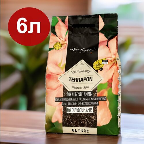          LECHUZA TERRAPON 6    -     , -,   