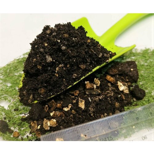 ������ ������ �������� 