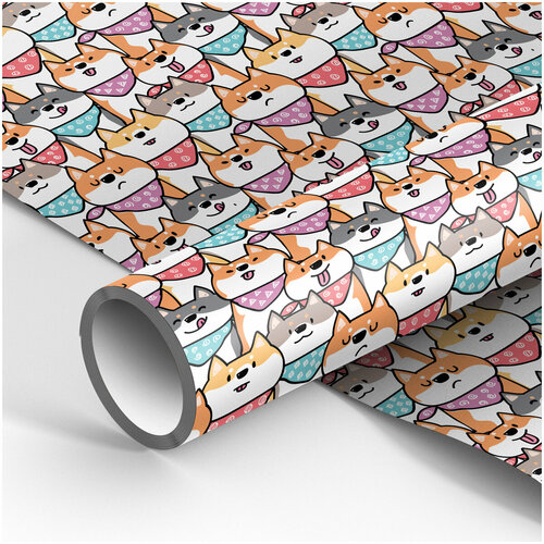 ������ ������ ����������� ������ ��� �������� AXLER ���������, ���������� ���������� ������ ��� �������� � ������, ������� � ��� ��������, 70*100�� 90�/�2 ����