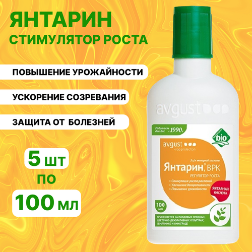 ������ ������ ������� ����