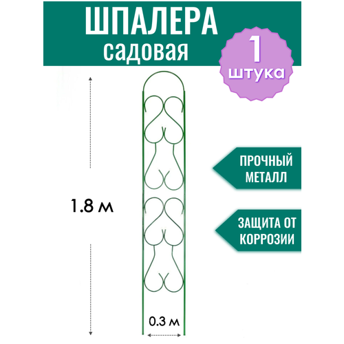 ������ ������ ������� ������������� ������ ��������� h-1.8 �, ���������� ������� ����
