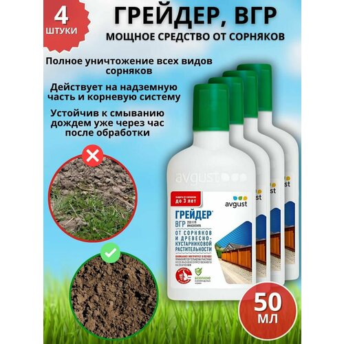 ������ ������ ������ �������� �������� �� �������� �������, ��� 50 �� 4 �� ����