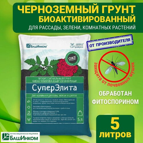 ������ ������ ����� ��� ������� ���������� ������������� ��� �������� , 5� ����