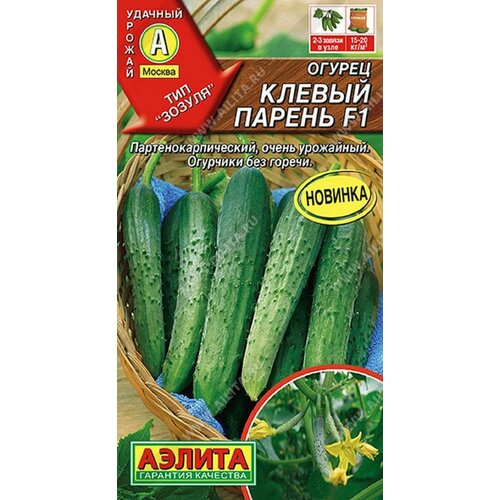 ������ ������ ������ ������ ������ F1 ����