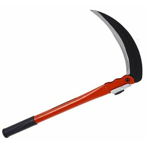 ������ ������ ���� ��������, 30 �� ����