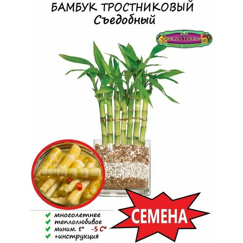 ������ ������ ������ ������ ������������ 