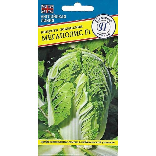 ������ ������ ������ ������� ��������� ��������� F1 10�� (�������) ����