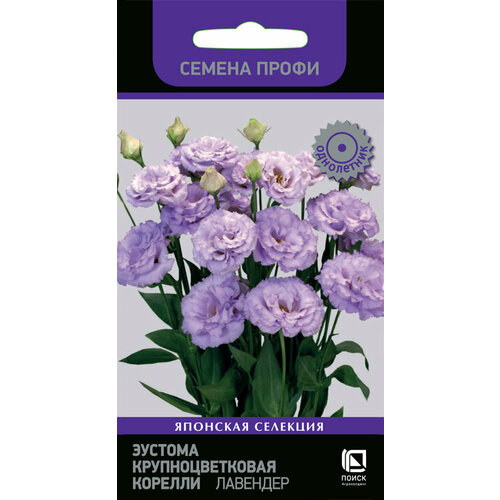 ������ ������ ������� ������� ������� �������� ��������������� (������ �����) 5�� (�����) ����